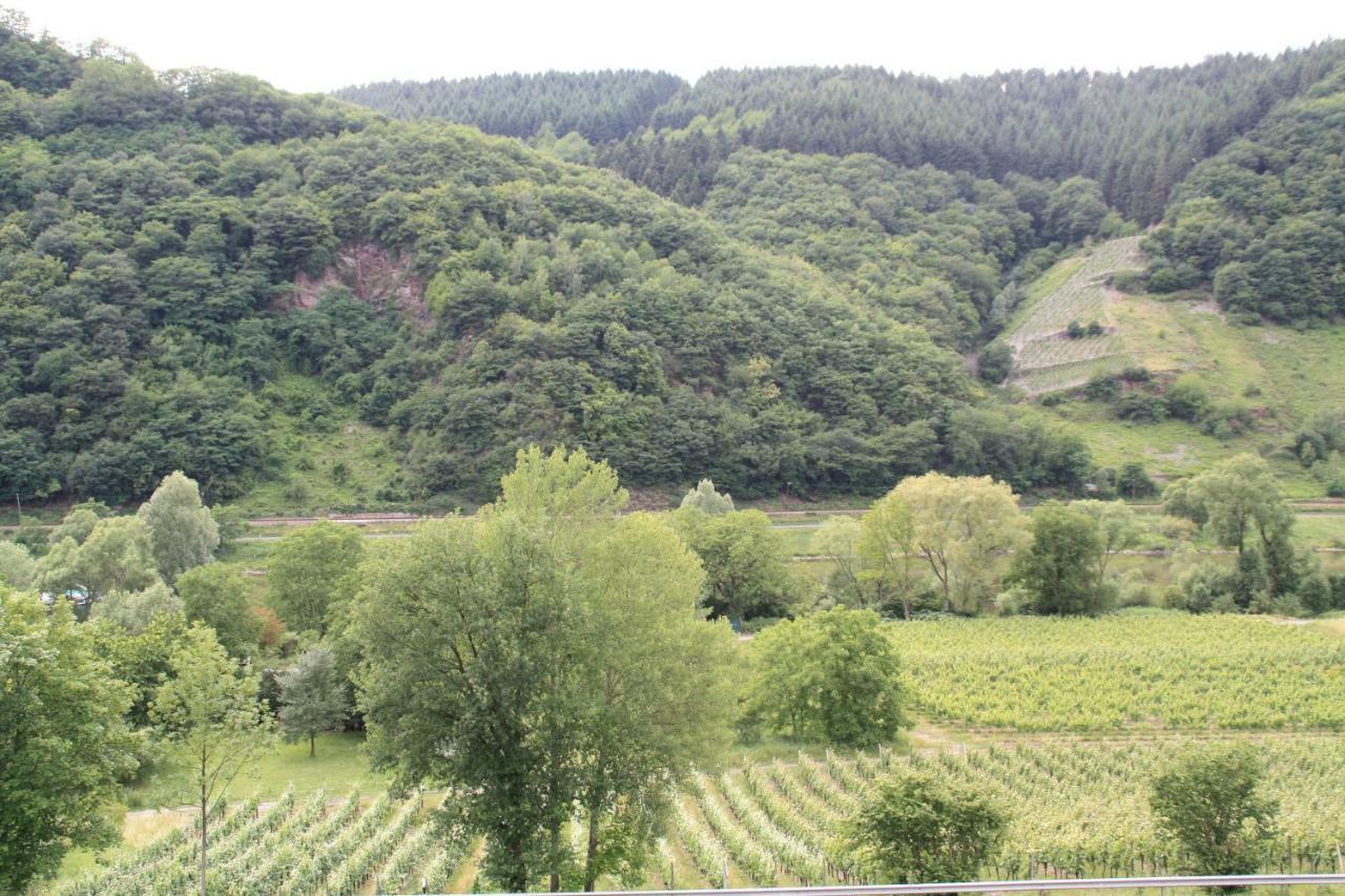 فيلا Weingut Sauer-Kettermann إنكيرش المظهر الخارجي الصورة