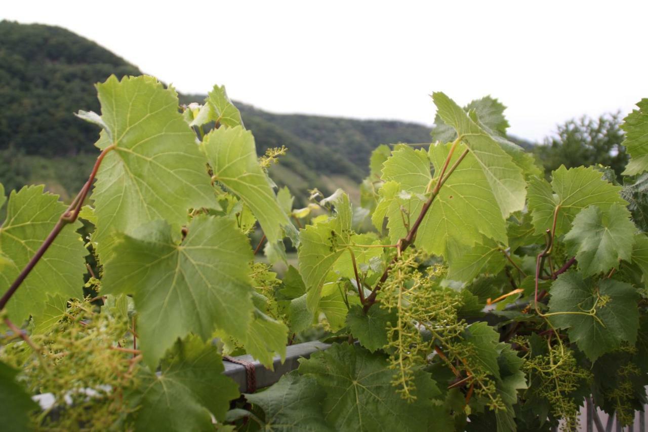 فيلا Weingut Sauer-Kettermann إنكيرش المظهر الخارجي الصورة