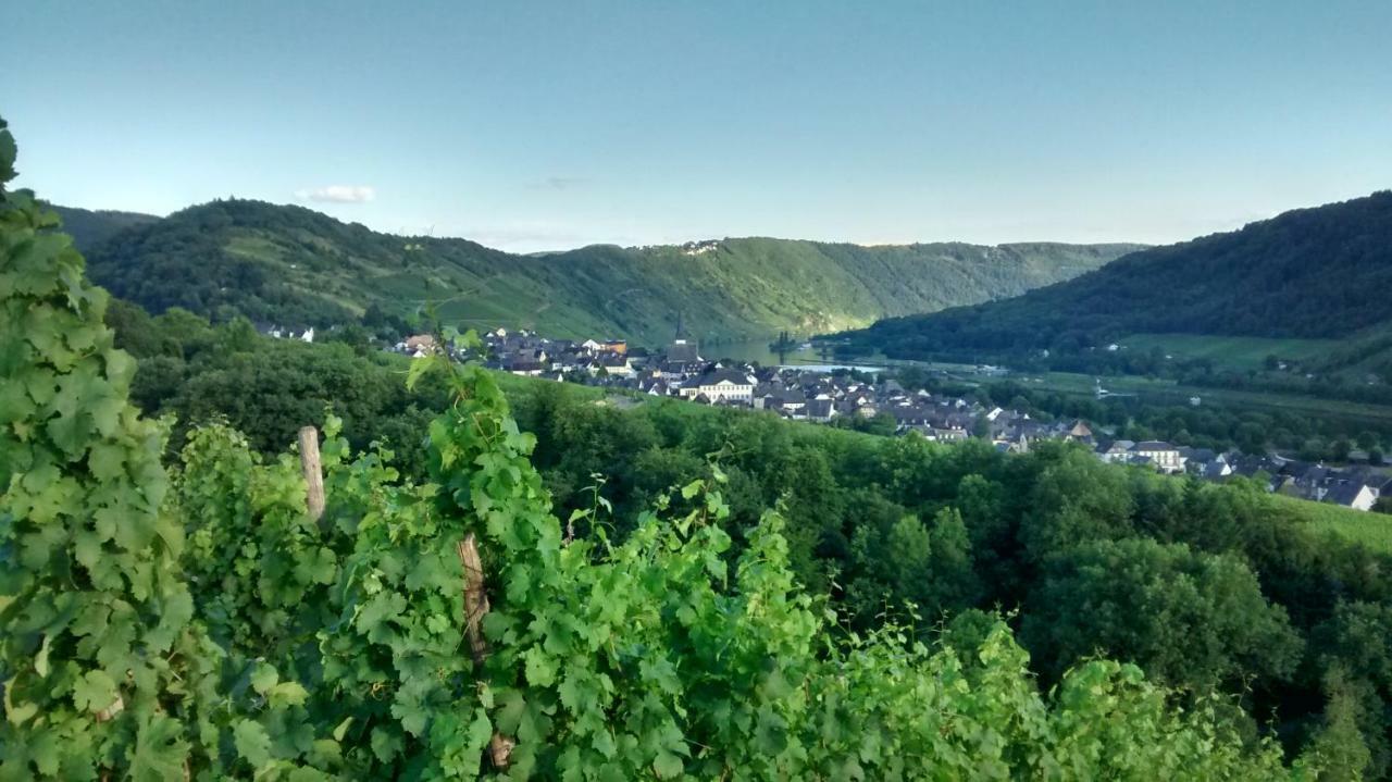 فيلا Weingut Sauer-Kettermann إنكيرش المظهر الخارجي الصورة
