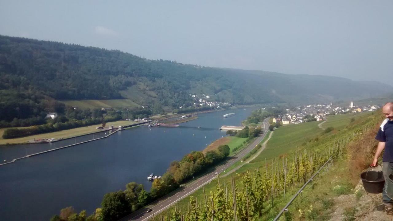 فيلا Weingut Sauer-Kettermann إنكيرش المظهر الخارجي الصورة