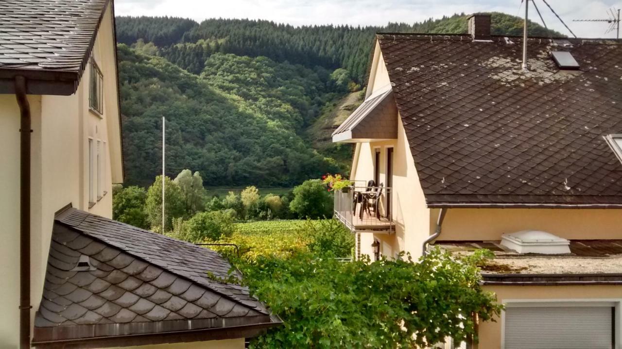 فيلا Weingut Sauer-Kettermann إنكيرش المظهر الخارجي الصورة