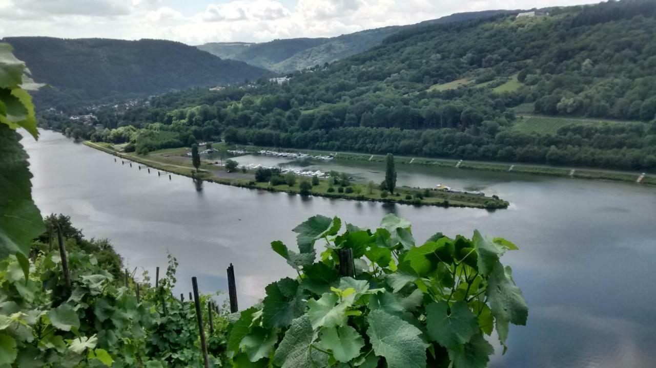 فيلا Weingut Sauer-Kettermann إنكيرش المظهر الخارجي الصورة