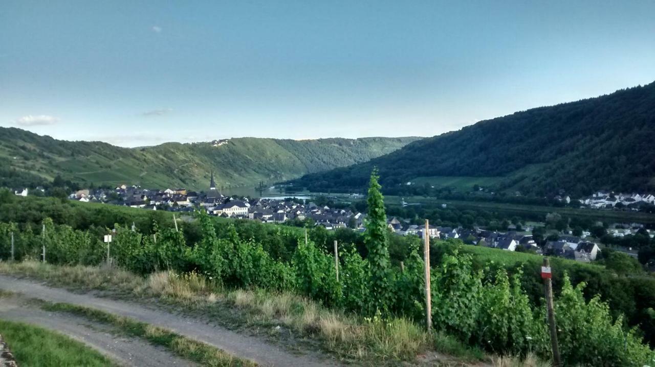 فيلا Weingut Sauer-Kettermann إنكيرش المظهر الخارجي الصورة