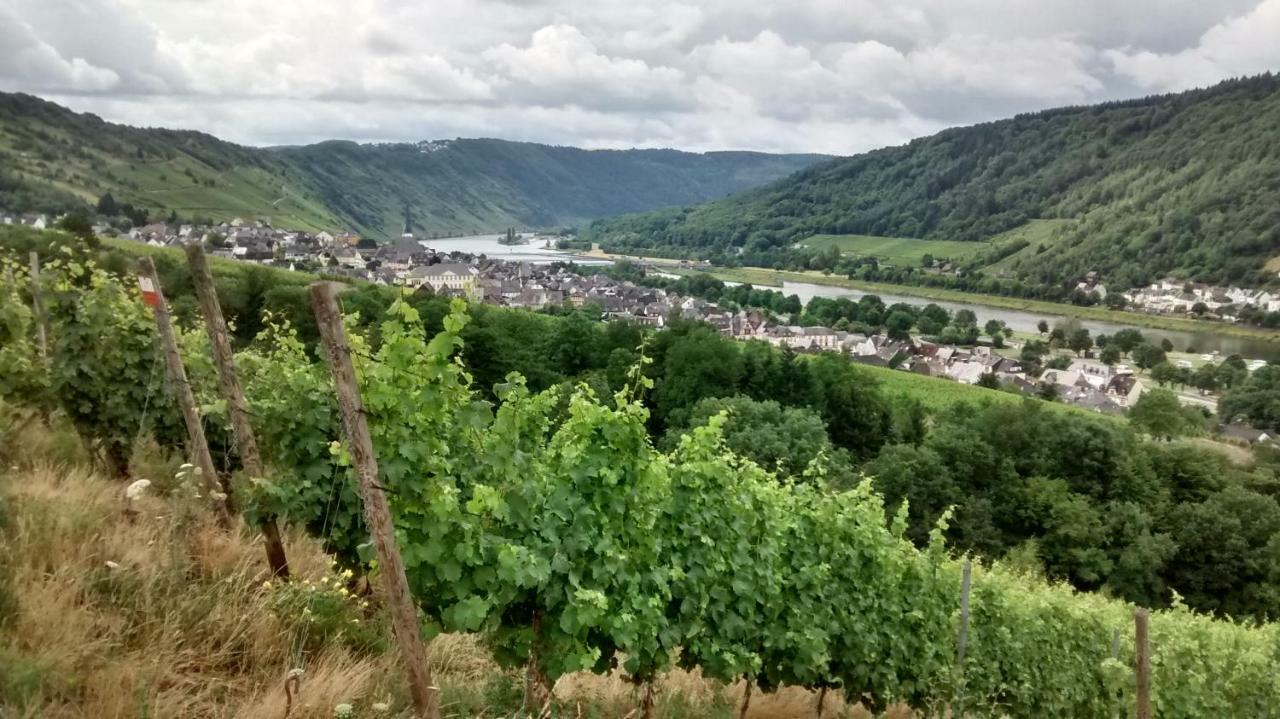 فيلا Weingut Sauer-Kettermann إنكيرش المظهر الخارجي الصورة