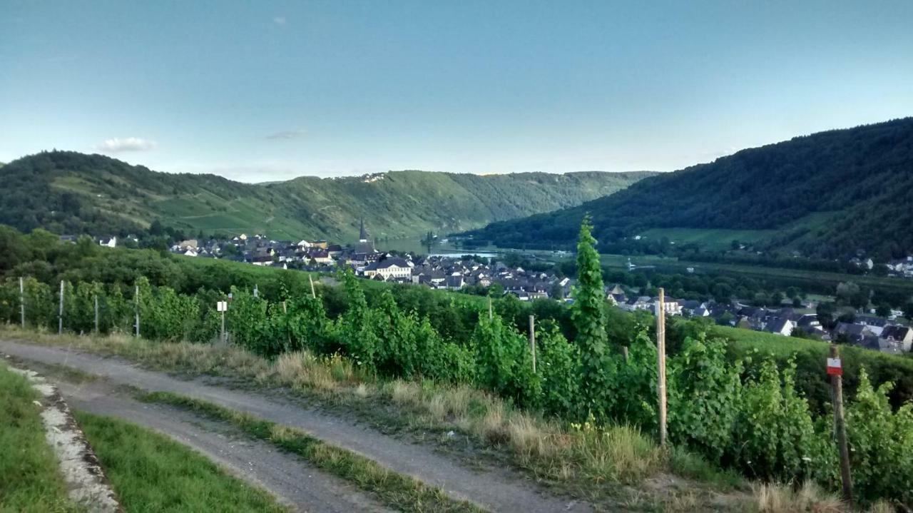 فيلا Weingut Sauer-Kettermann إنكيرش المظهر الخارجي الصورة